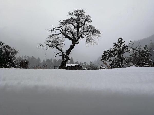 泾县：新年发展“税”动力 税收优惠来助力